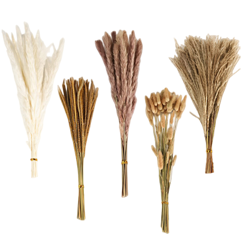 Eucalyptus Preserved - Bouquet di Fiori Secchi Misti Vintage