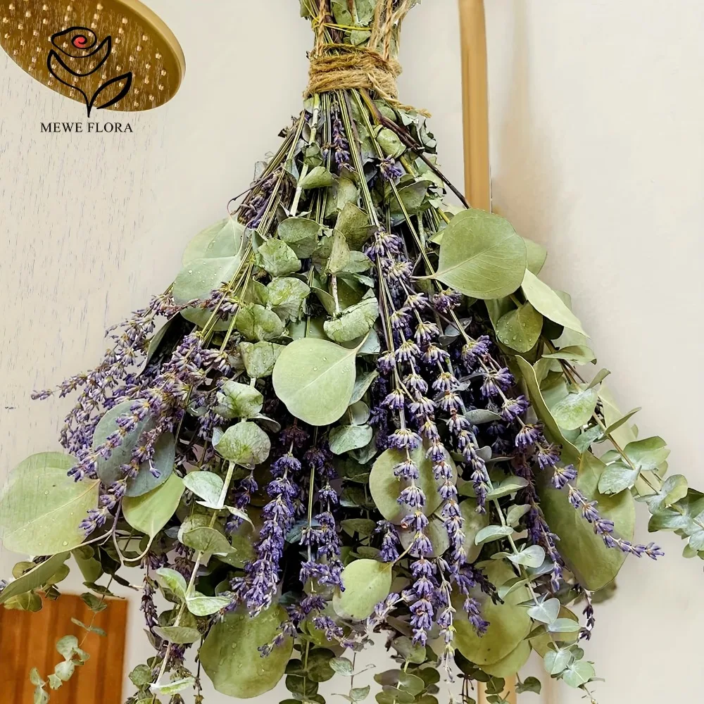 Eucalyptus Preserved - 30 pezzi di fiori secchi conservati