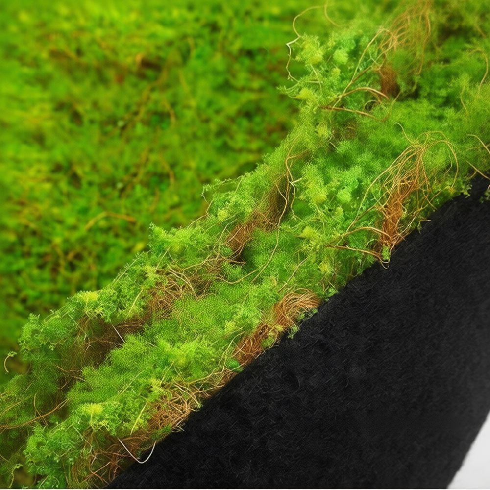 Tappetino in erba sintetica ef - Preserved Moss Sheet recensione e prezzo
