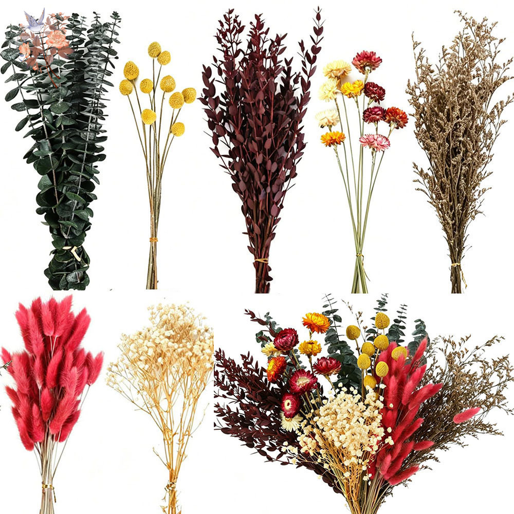 Set di Fiori Secchi in Grandi  - Florist Supply Bulk recensione e prezzo