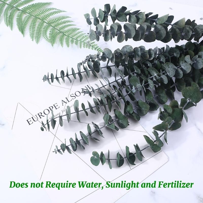 20 pezzi conservati per eucali - Eucalyptus Preserved recensione e prezzo