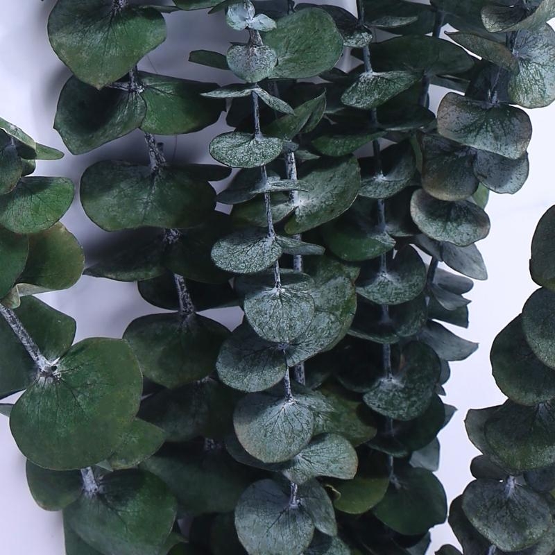 20 pezzi conservati per eucali - Eucalyptus Preserved recensione e prezzo