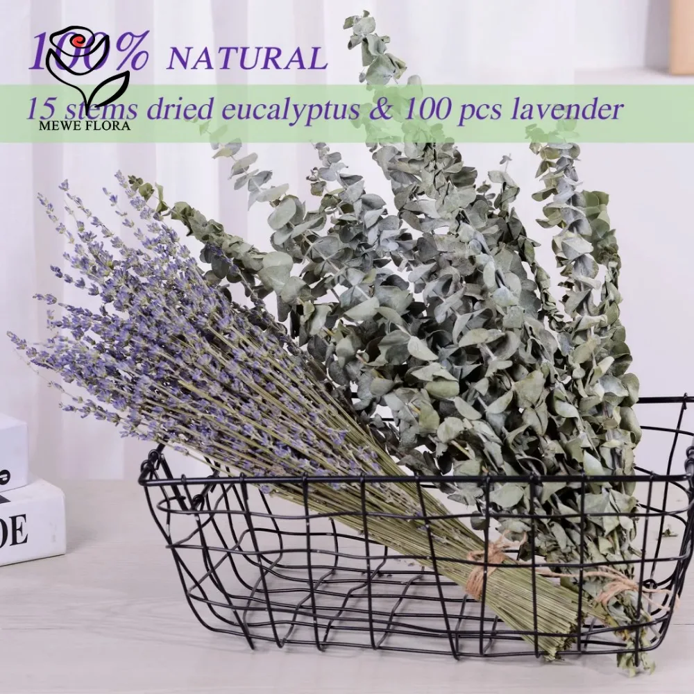30 pezzi di fiori secchi conse - Eucalyptus Preserved recensione e prezzo